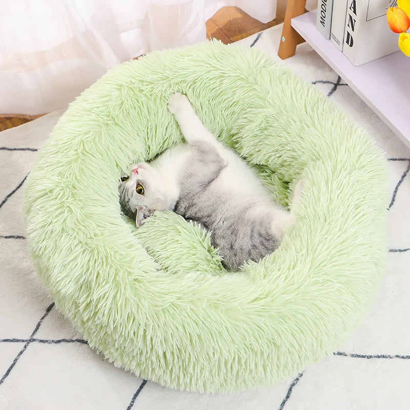 Cama Fluffy - 😻 A Cama Que Deixa Seu Gatinho Mais Feliz e Tranquilo!